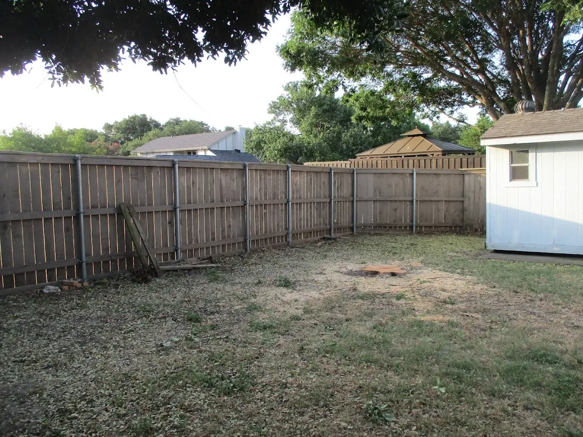 Cleared yard after professional tree removal in Charlotte Hall