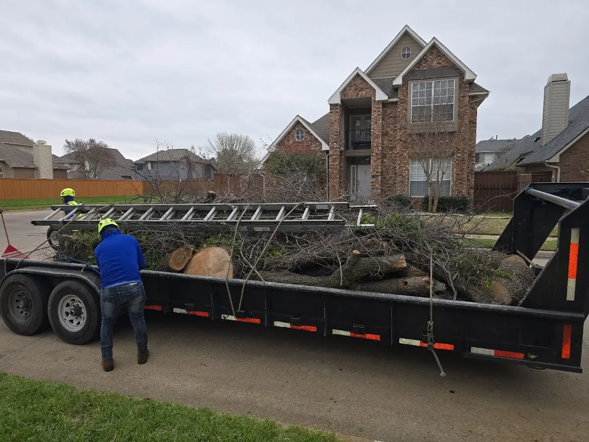 Expert Tree Removal with proper safety equipment in Charlotte Hall
